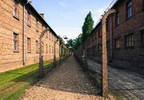 A straight path bordered by barbed wire fences and brick buildings on both sides, with trees visible in the distance