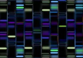 DNA profile