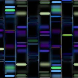 DNA profile