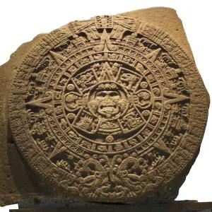Image of a circular ancient fossil 