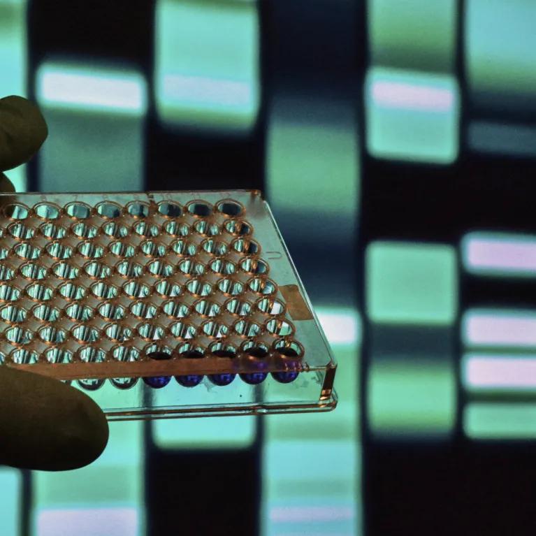 Biological samples