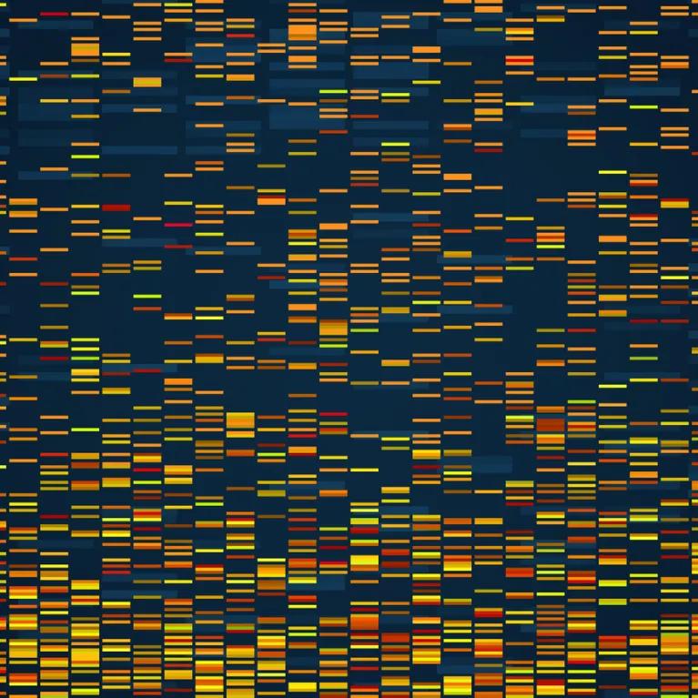 DNA profile