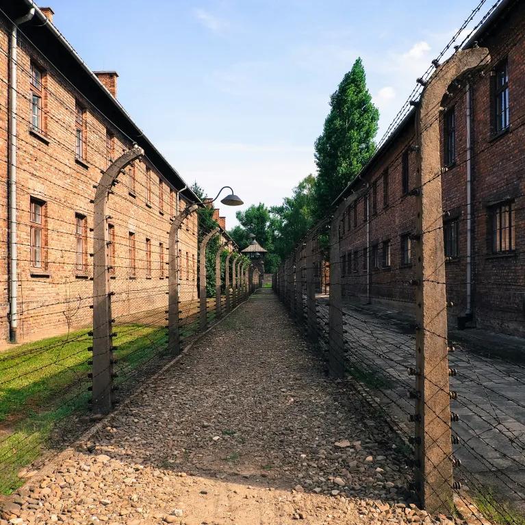 A straight path bordered by barbed wire fences and brick buildings on both sides, with trees visible in the distance
