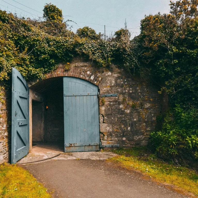 A medieval-style brick wall covered in greenery, with ivy and bushes surrounding an open blue barn door