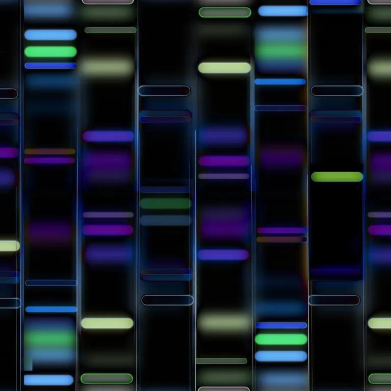 DNA profile