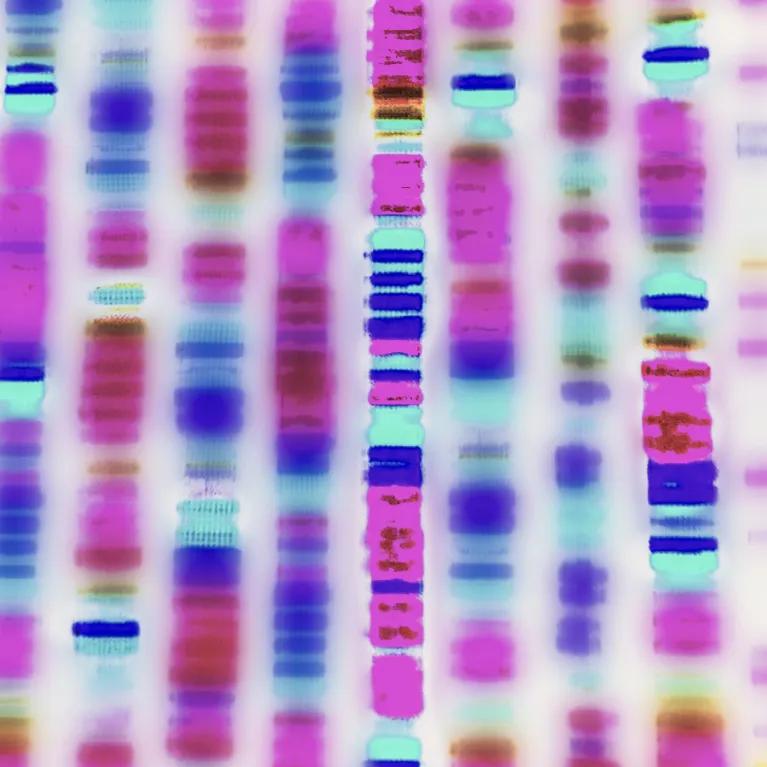 DNA profile