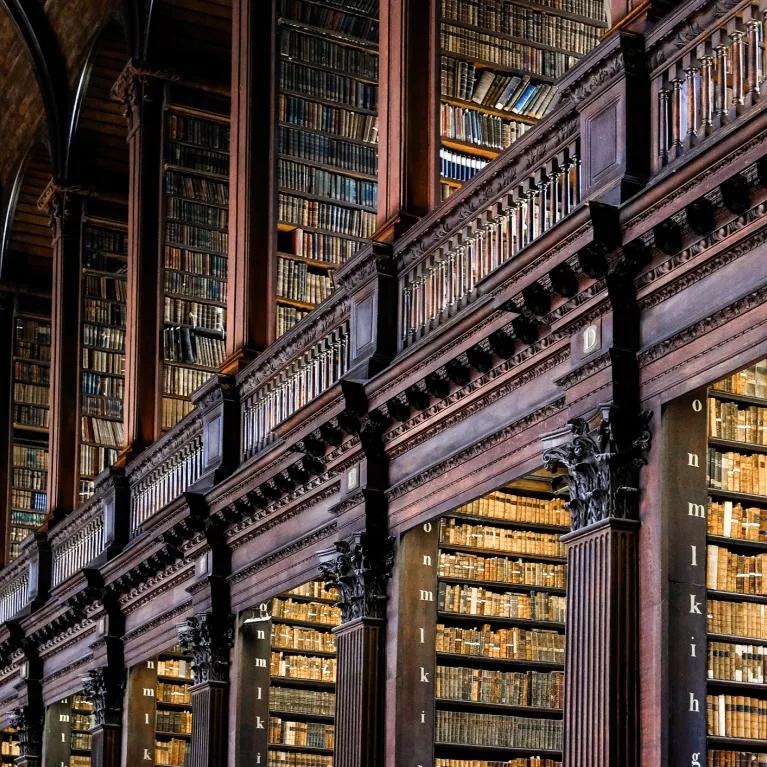 Dark wood library shelves with old books