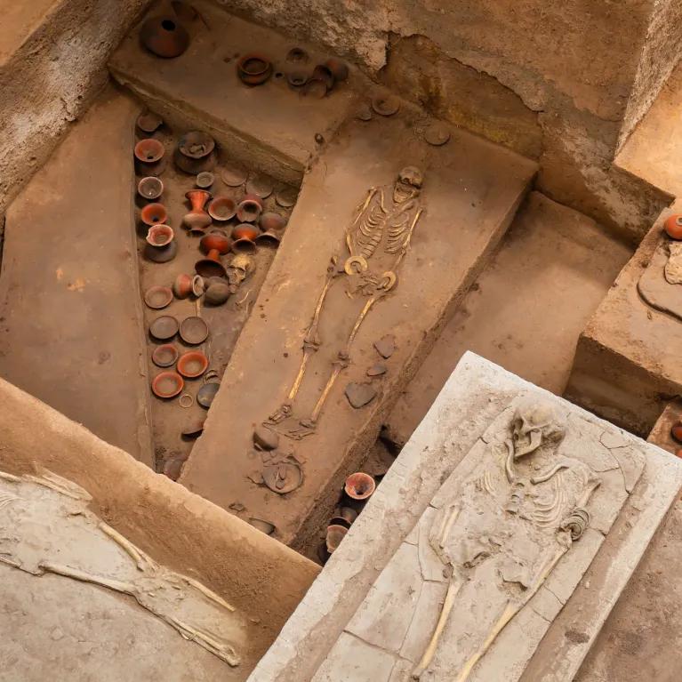 An archaeological burial site showing exposed skeletons, coffin-like blocks, and surrounding sand